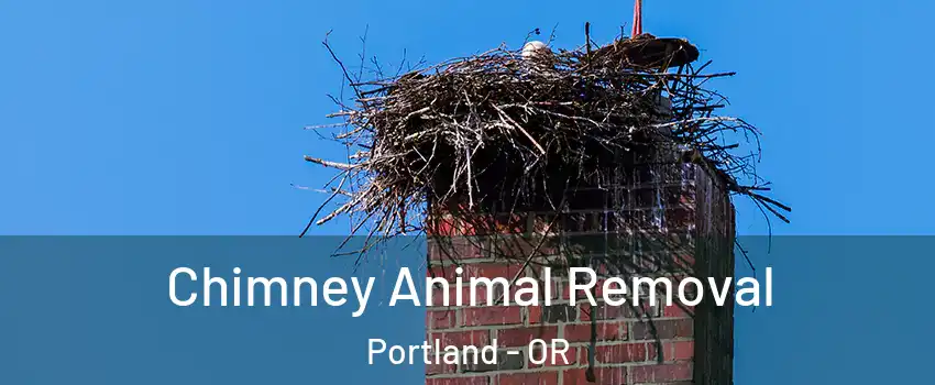 Chimney Animal Removal Portland - OR