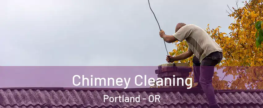  Chimney Cleaning Portland - OR