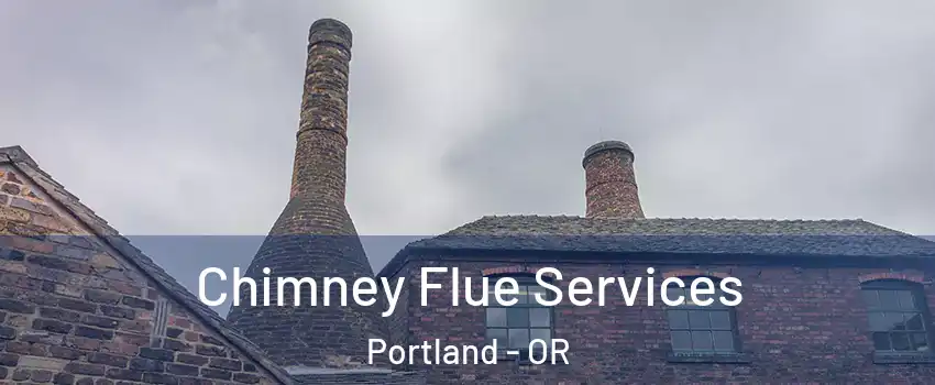  Chimney Flue Services Portland - OR