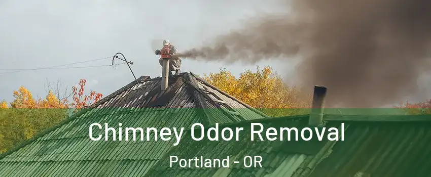  Chimney Odor Removal Portland - OR