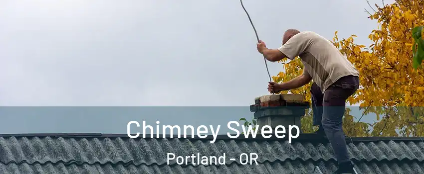  Chimney Sweep Portland - OR
