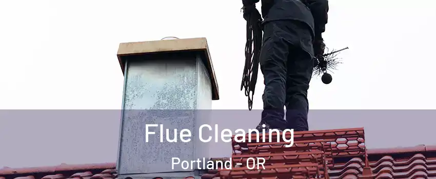  Flue Cleaning Portland - OR