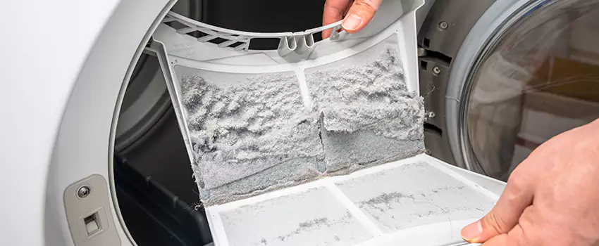 Best Dryer Lint Removal Company in Portland, Oregon