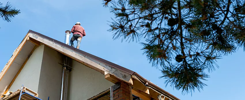 Birds Removal Contractors from Chimney in Portland, OR